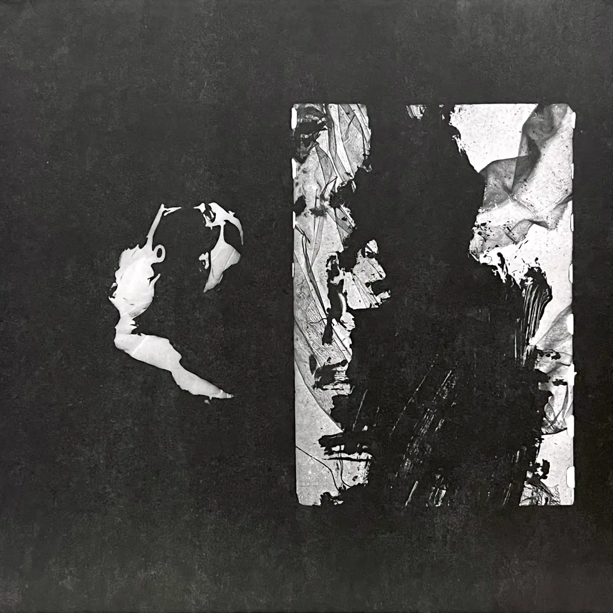 컬러LP Nova Scotian Arms -Cult Spectrum 드론