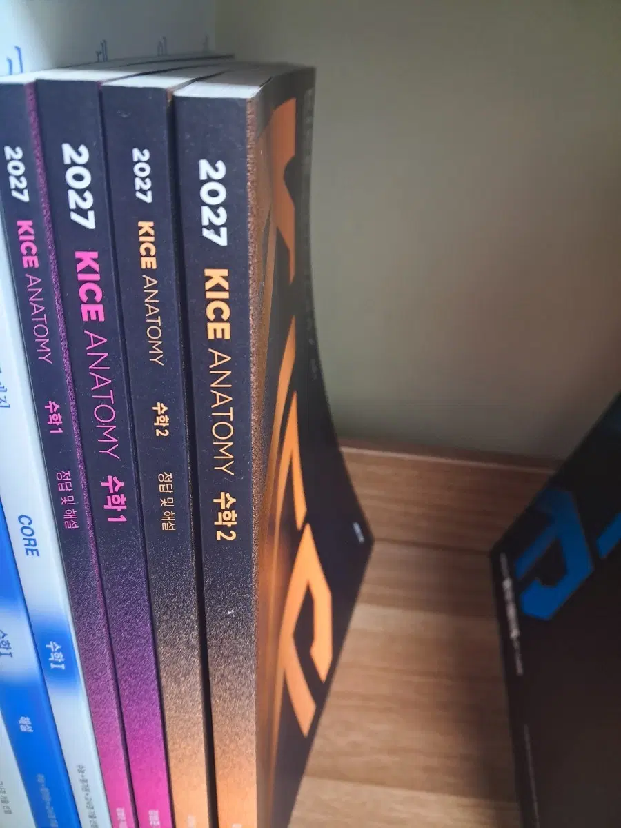 대성마이맥 김범준 카이스 아나토미 수1,2