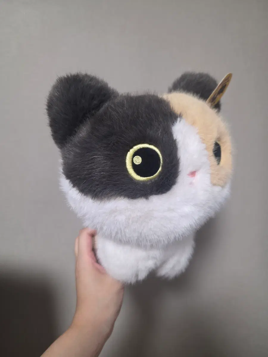 라이어캣츠 삼색이 빅팝스 인형