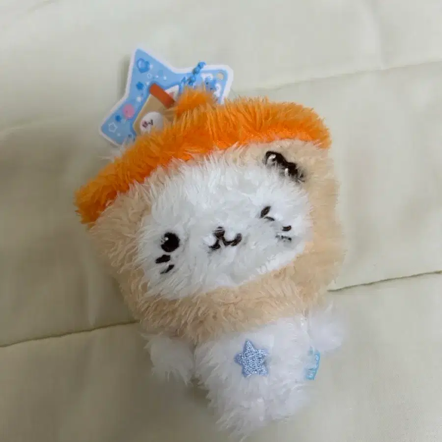 포켓 버블냥