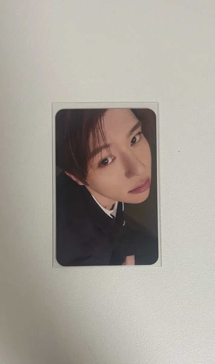 엔시티 위시 시온 포카 양도