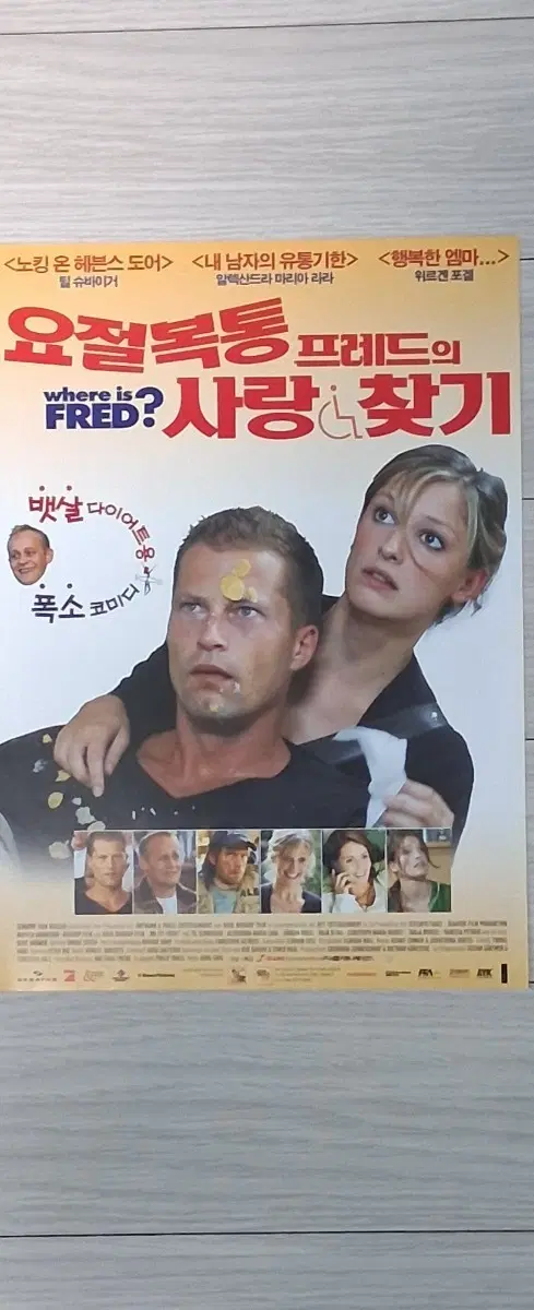 안노사울감독 틸슈바이거 요절복통프레드의사랑찾기A(2008년)전단지