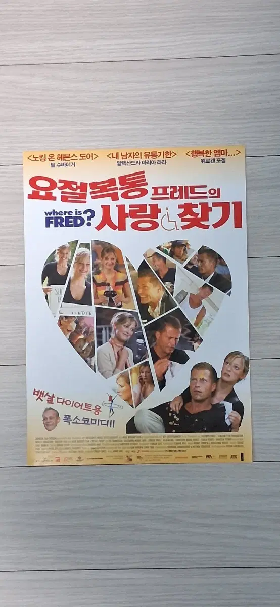 안노사울감독 틸슈바이거 요절복통프레드의사랑찾기B(2008년)전단지