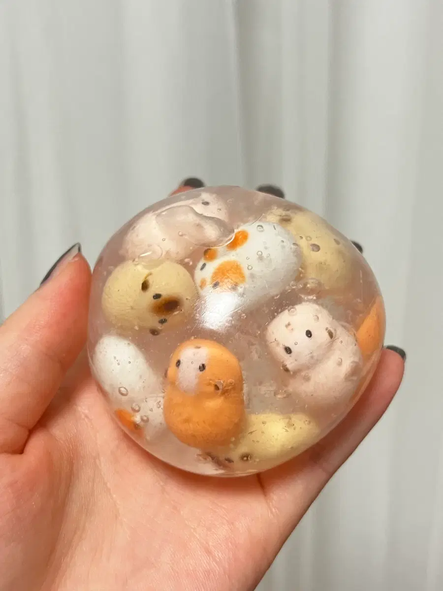 기니 투명슬랑이