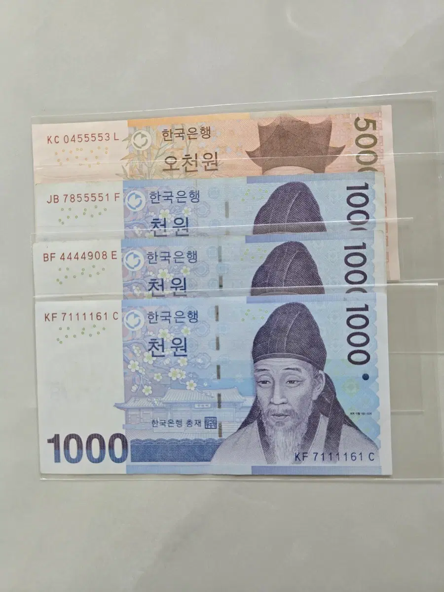 포커지폐