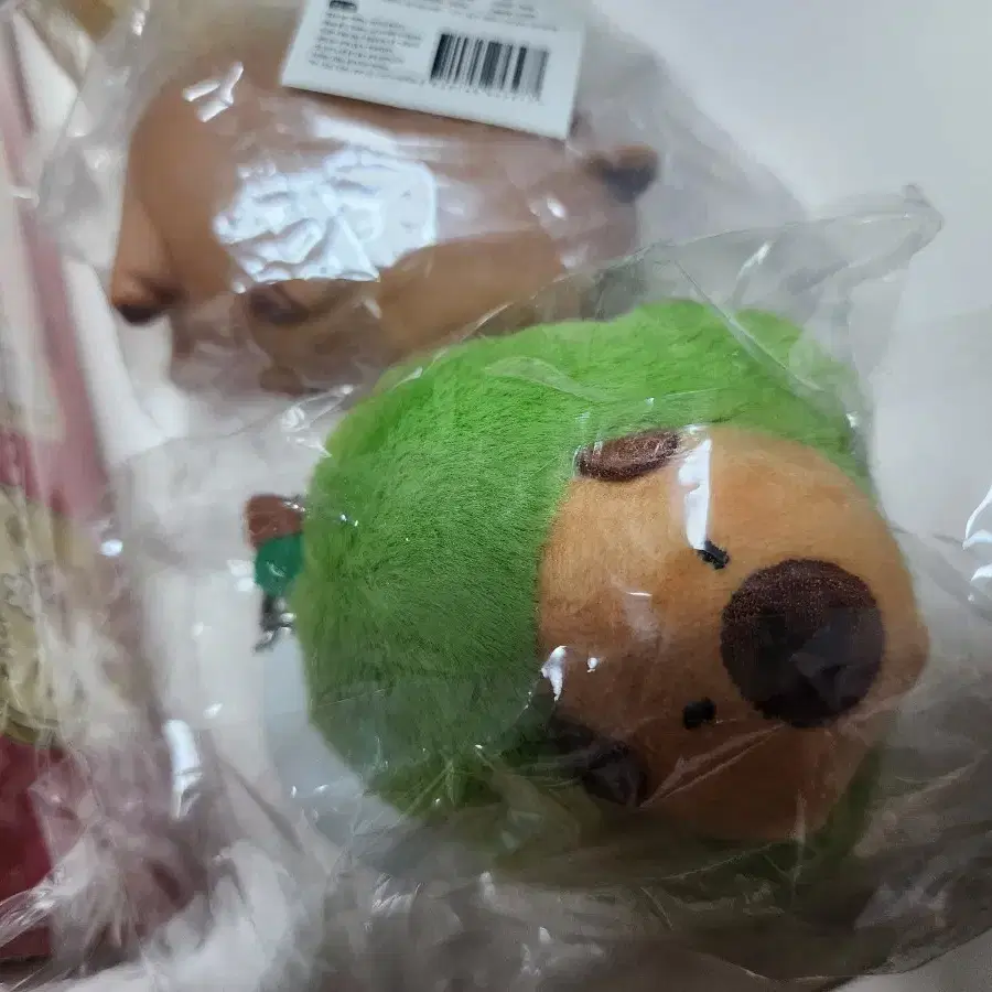 아보카도 카비바라 키링