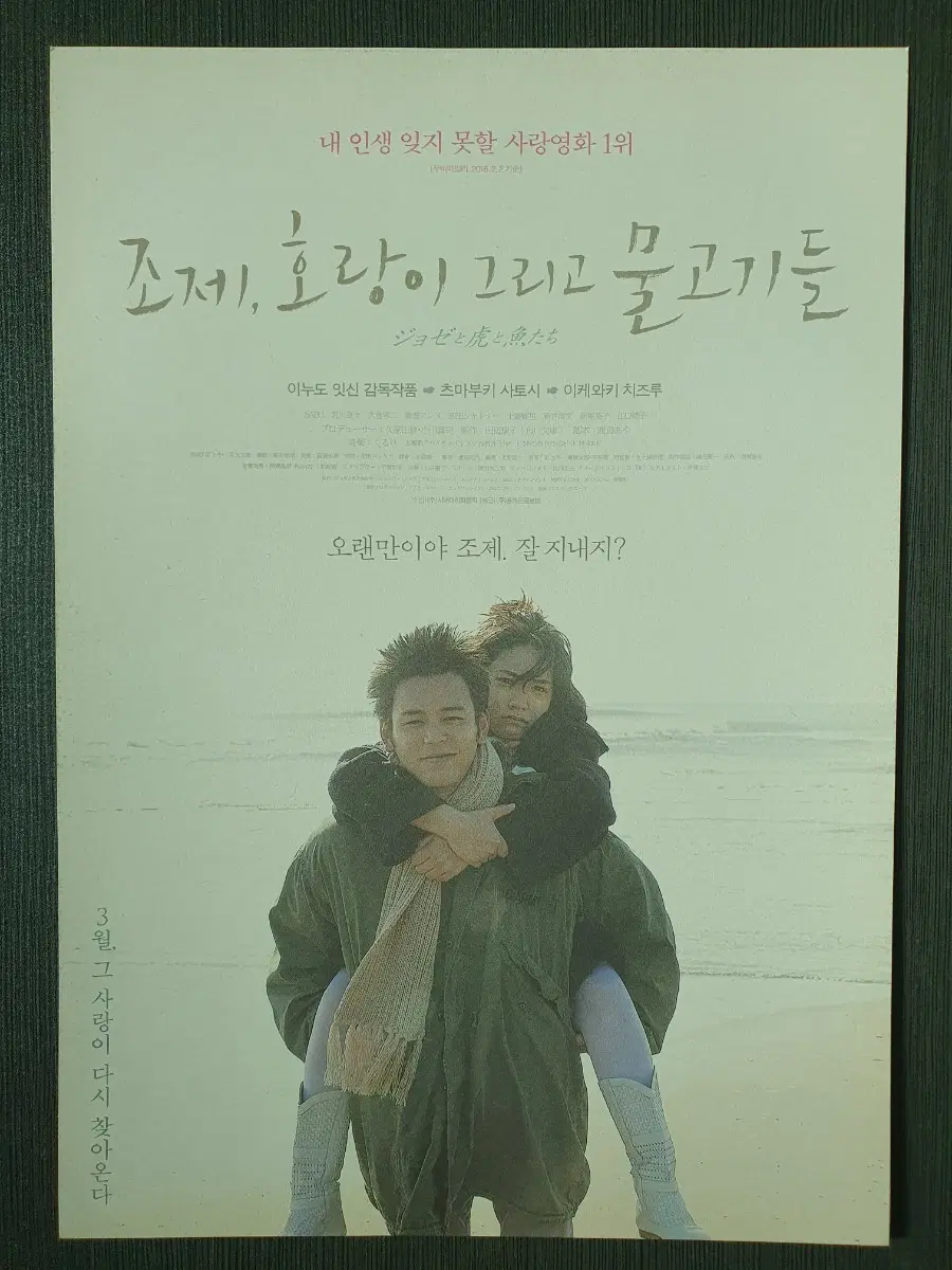 조제 호랑이 그리고 물고기들 일본 영화 재개봉 전단지 A4