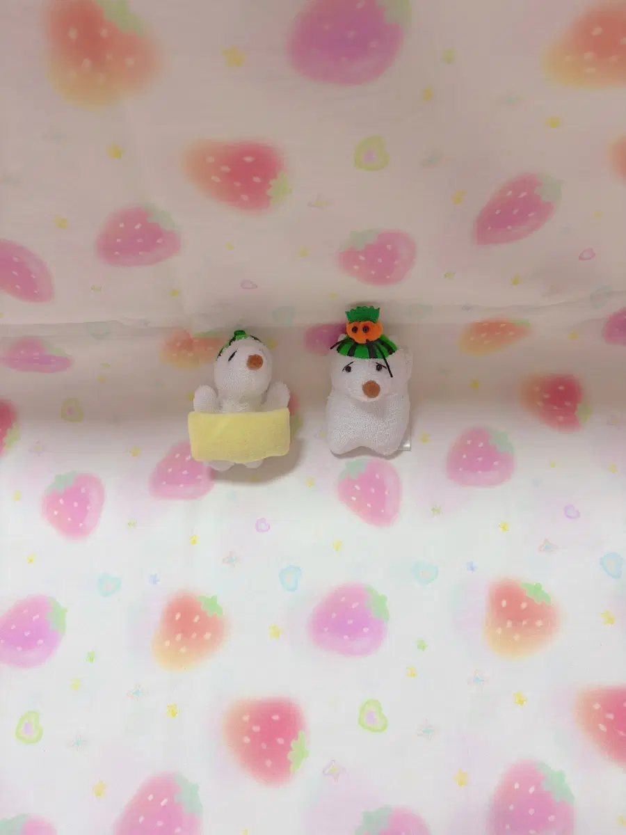 수박미니곰