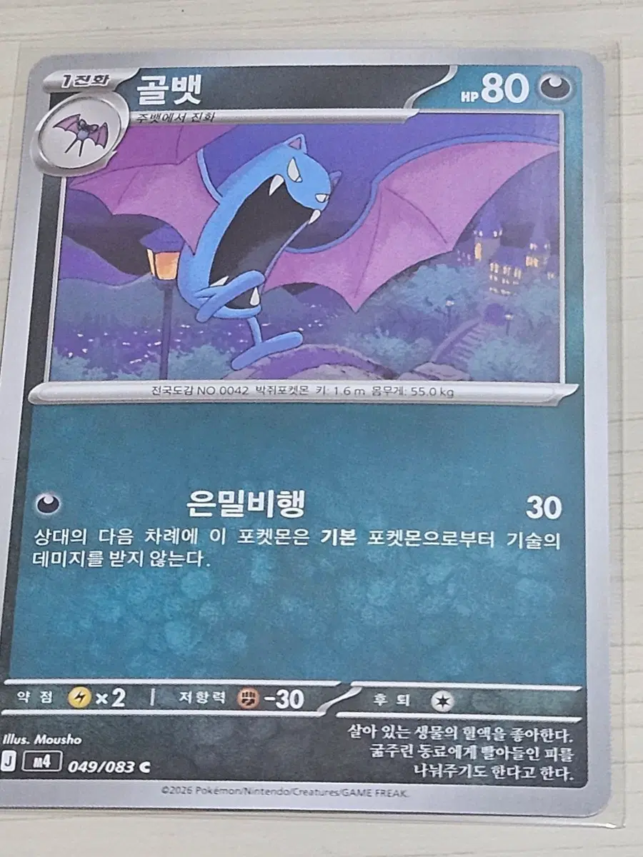 [최저가] 골뱃 049/083 C