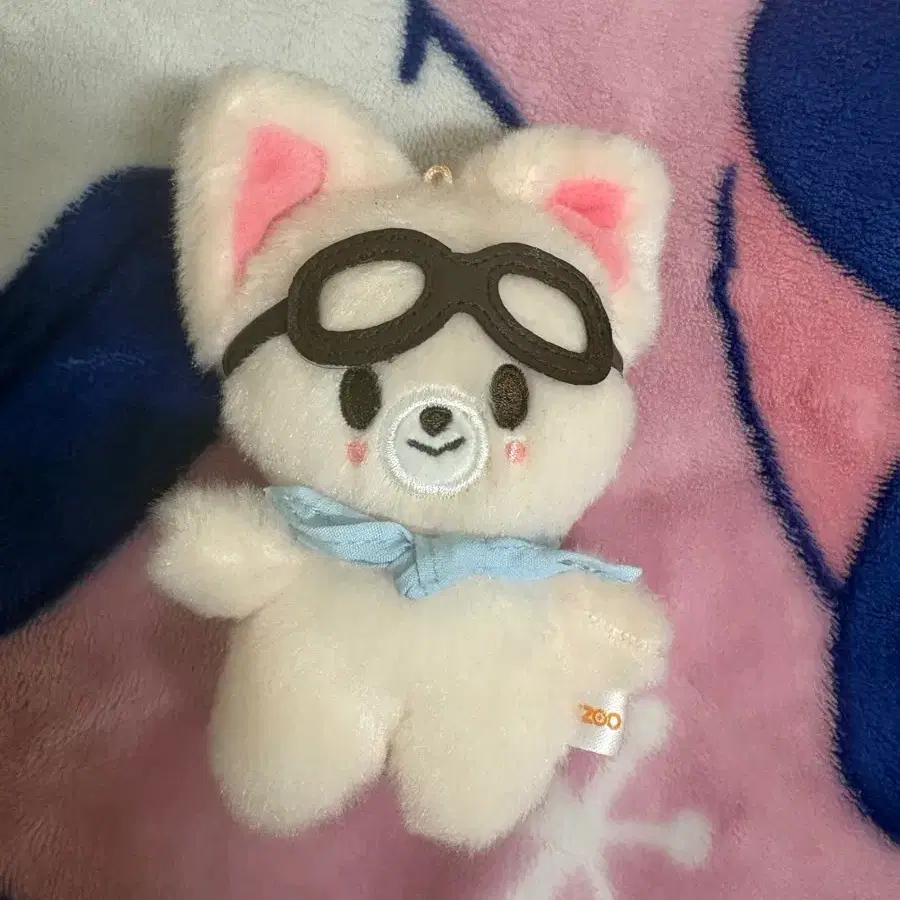 폭시니 파일럿