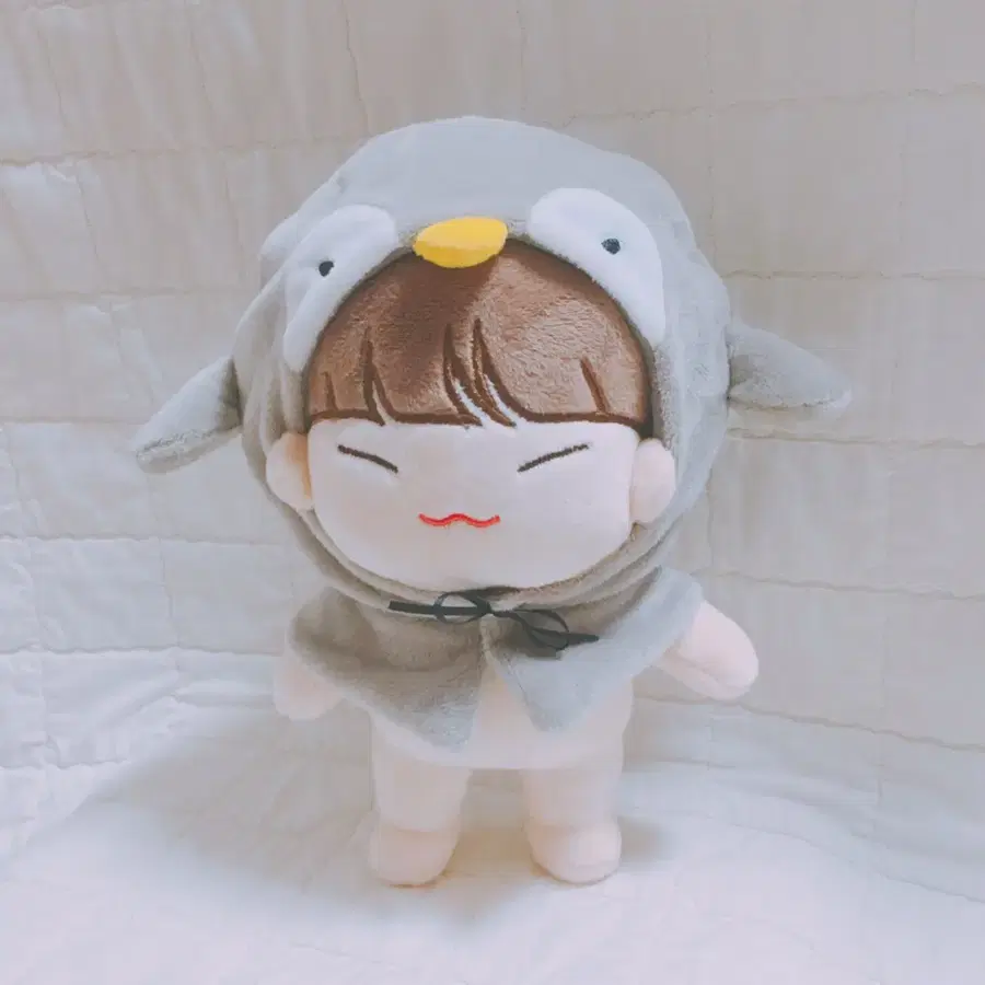 세븐틴 호시인형 순도리 양도