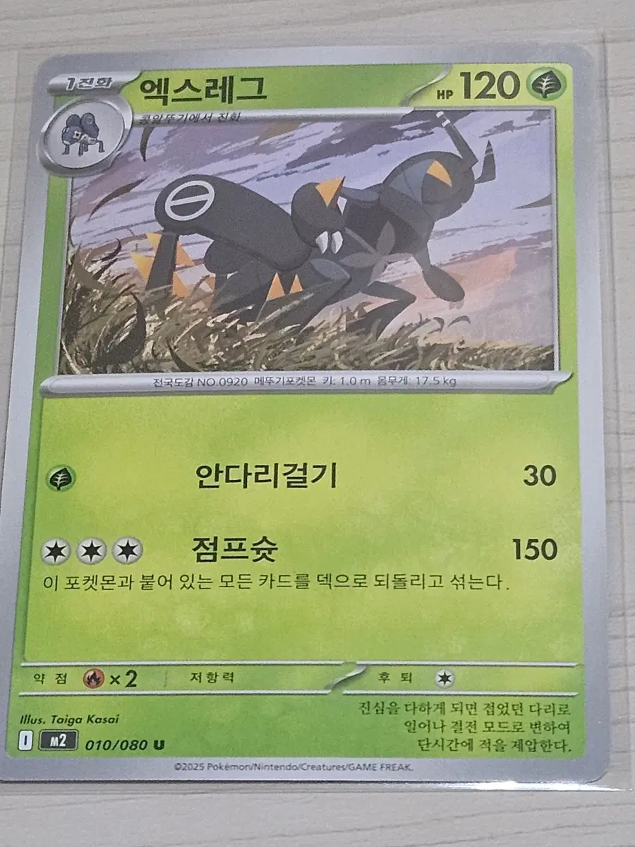 [최저가] 포켓몬 카드 엑스레그