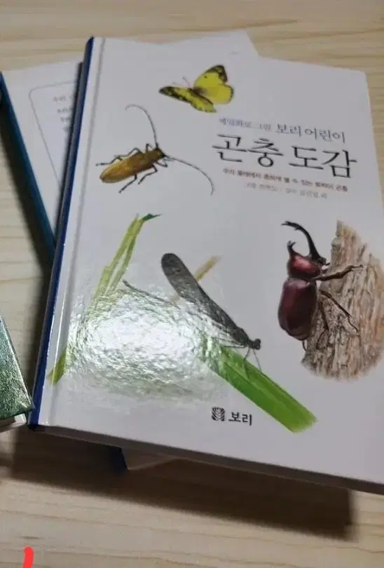 곤충도감