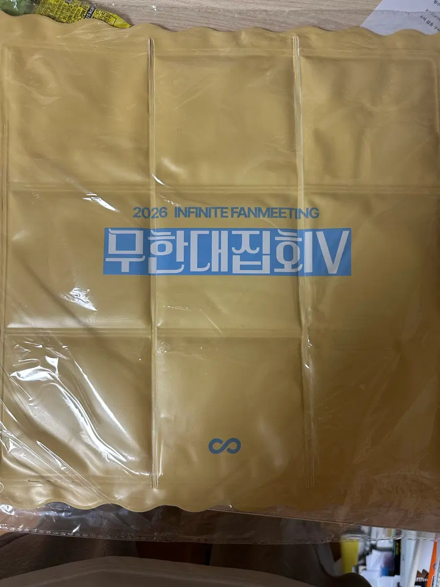 인피니트 무한대집회5 입장 방석 미개봉