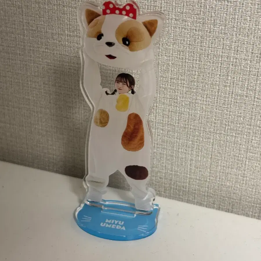큐스토 큐티스트리트 우메다미유 아크스타