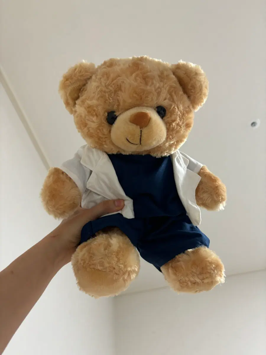 곰돌이 인형 커플 의사 가운