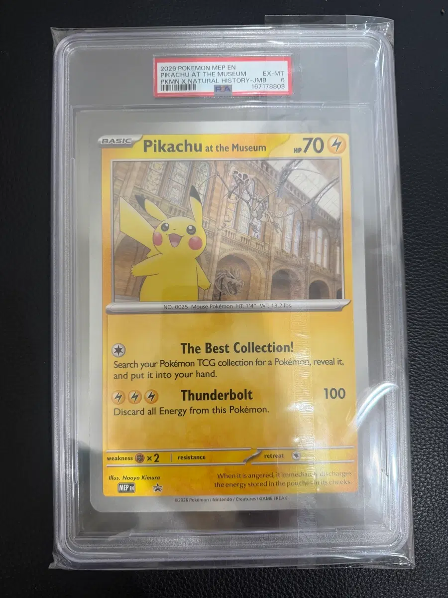 포켓몬카드 자연사박물관 psa6