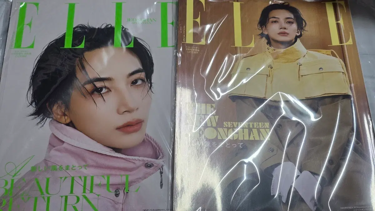 정한 엘르재팬 세트 양도