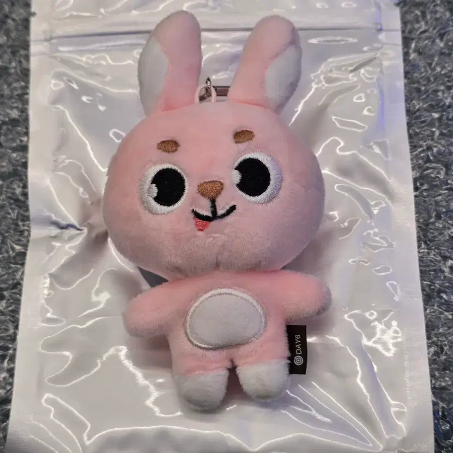 데이식스 언필터드 원필 솔콘 엠디 시크릿 키링 메롱필