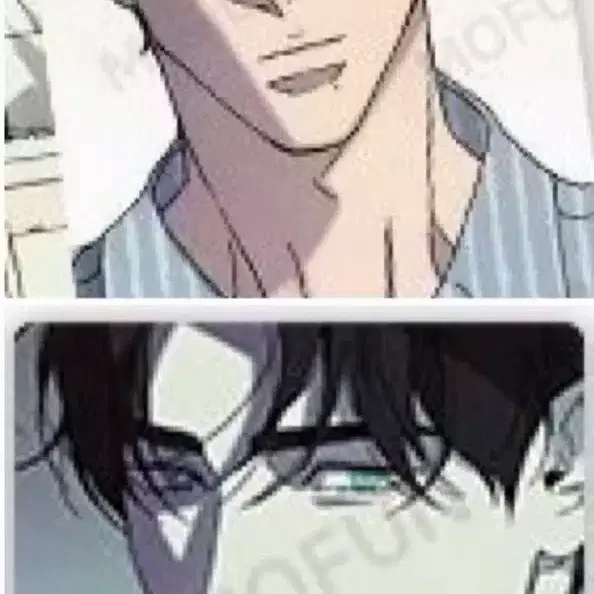 웻샌드 모펀 방문포카 코스터 조셉 일괄 방포