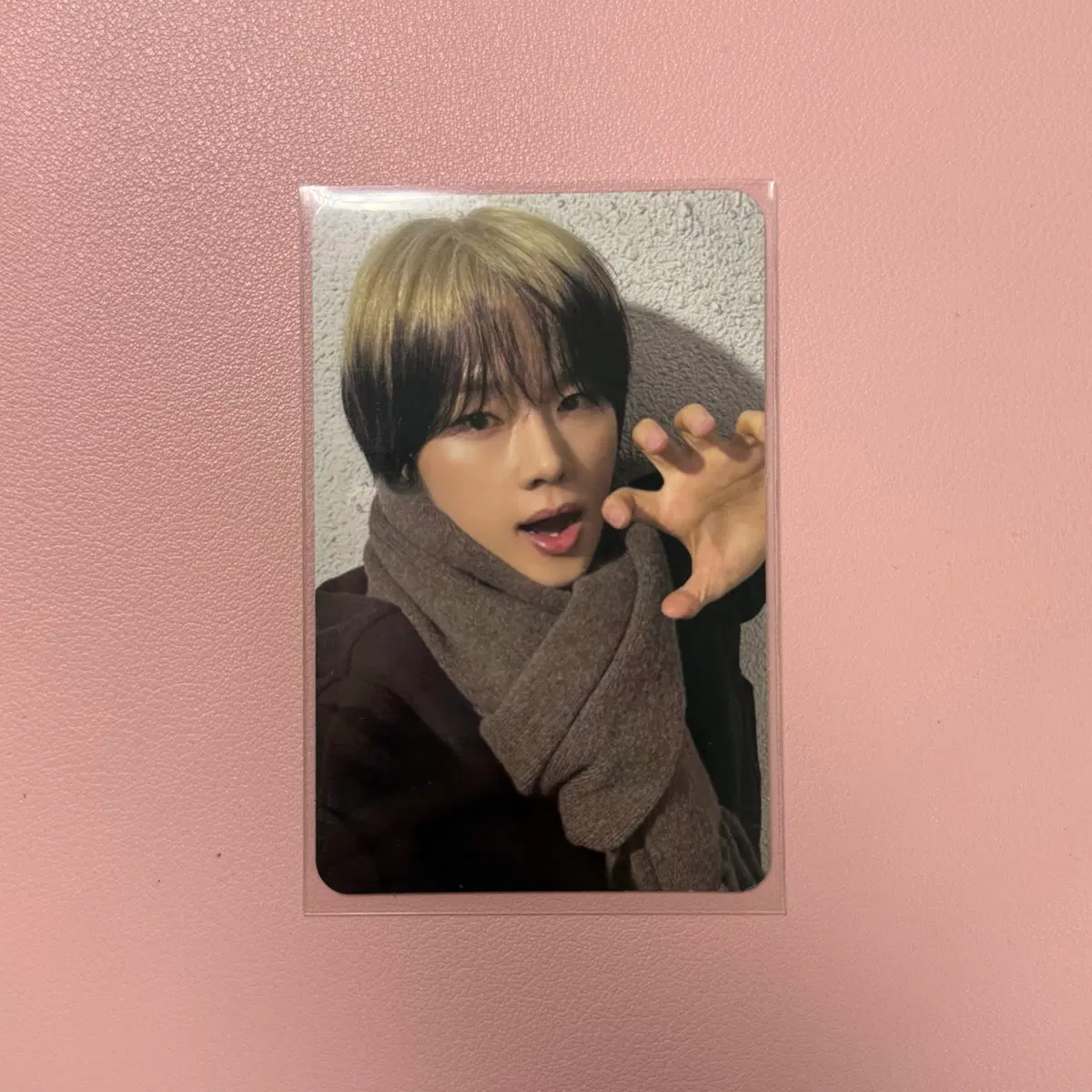 엑스디너리히어로즈 엑디즈 데드앤드 쇼케이스 입장포카 정수