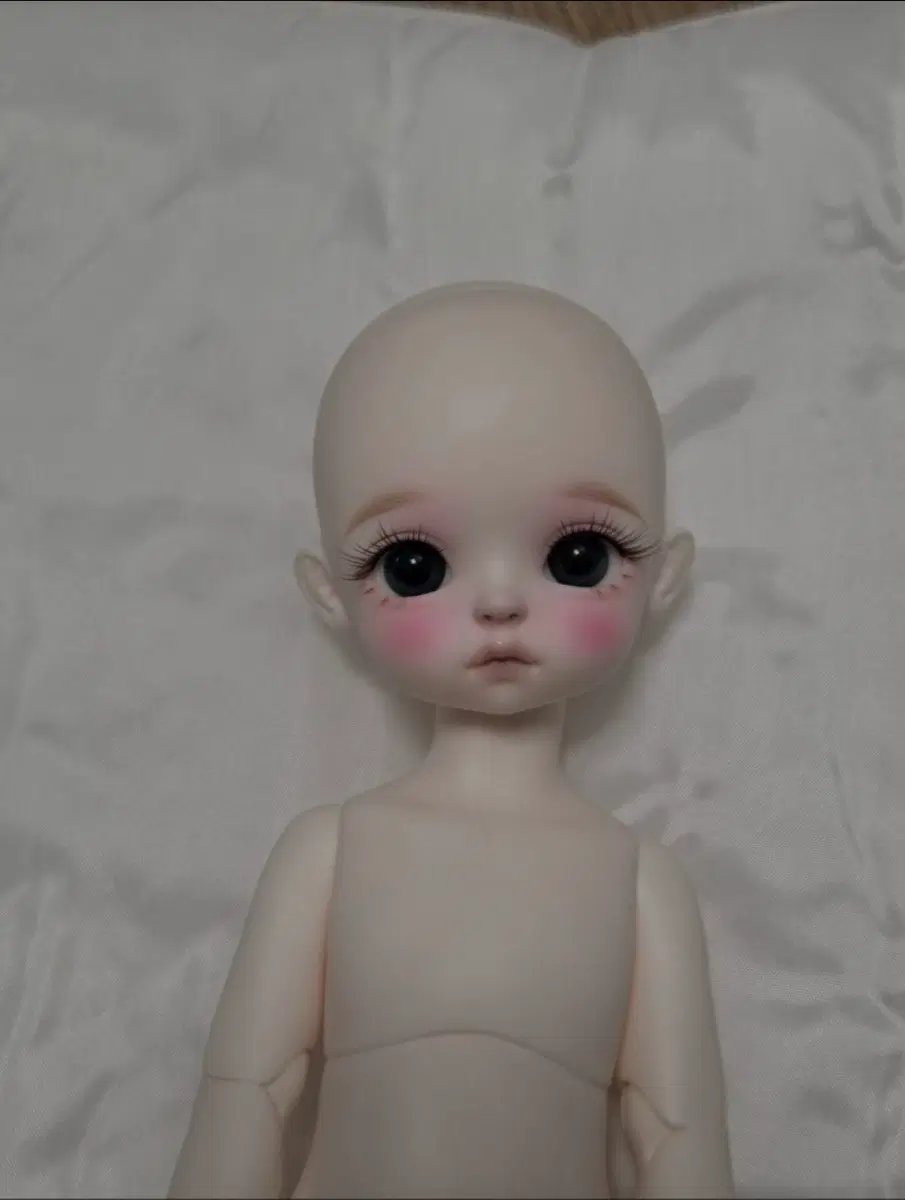 구체관절인형 치카비 포뇨(미백)