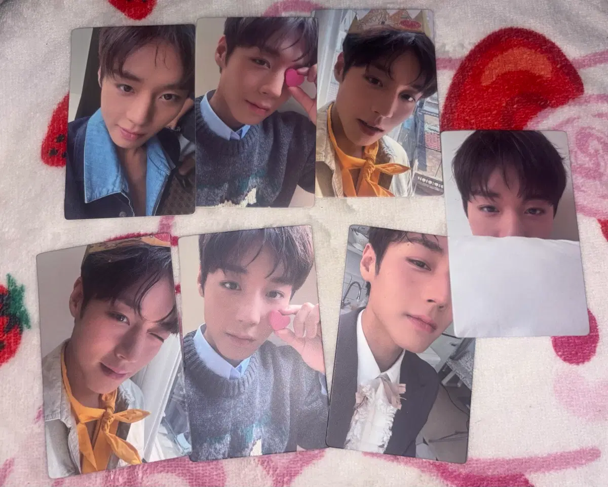 박지훈 citer 시터 씨터 중국 잡지 포카