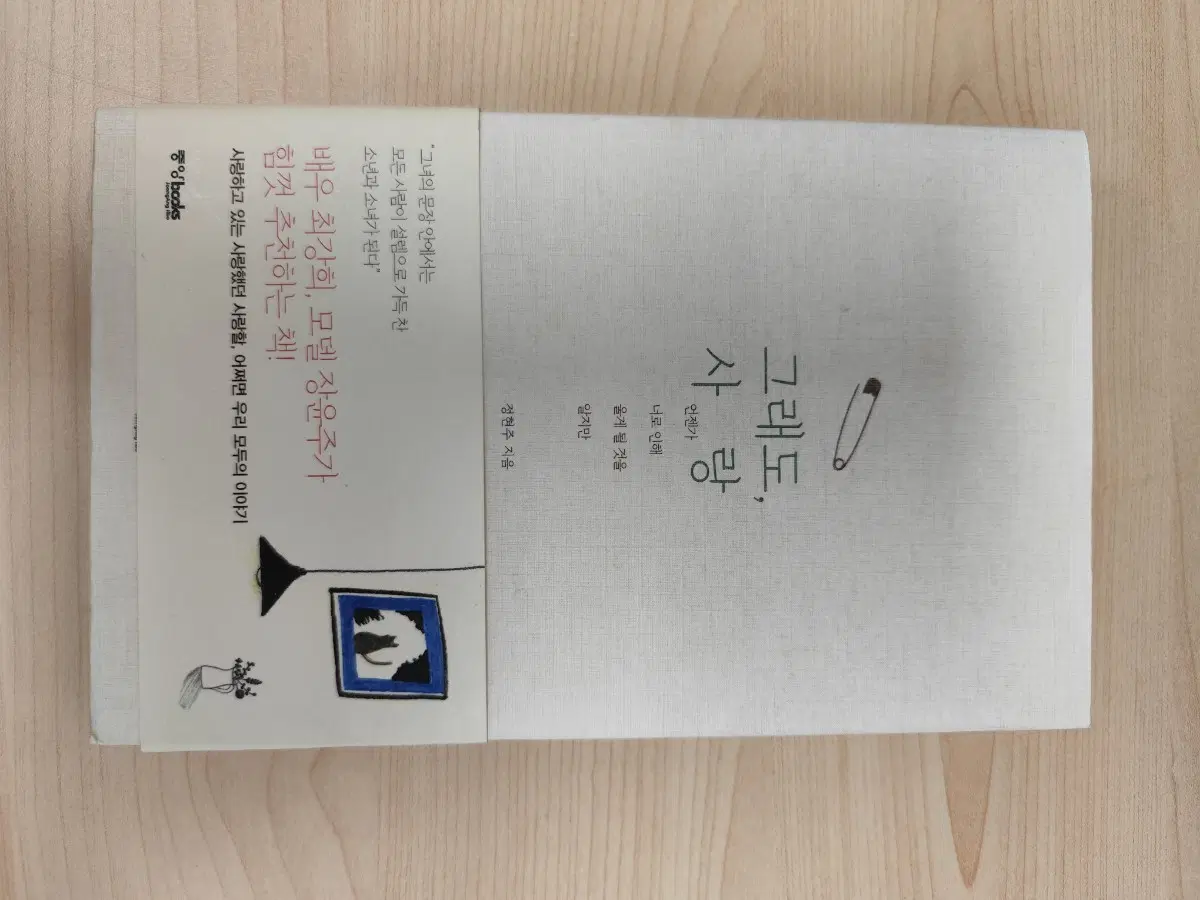 책 도서 그래도, 사랑