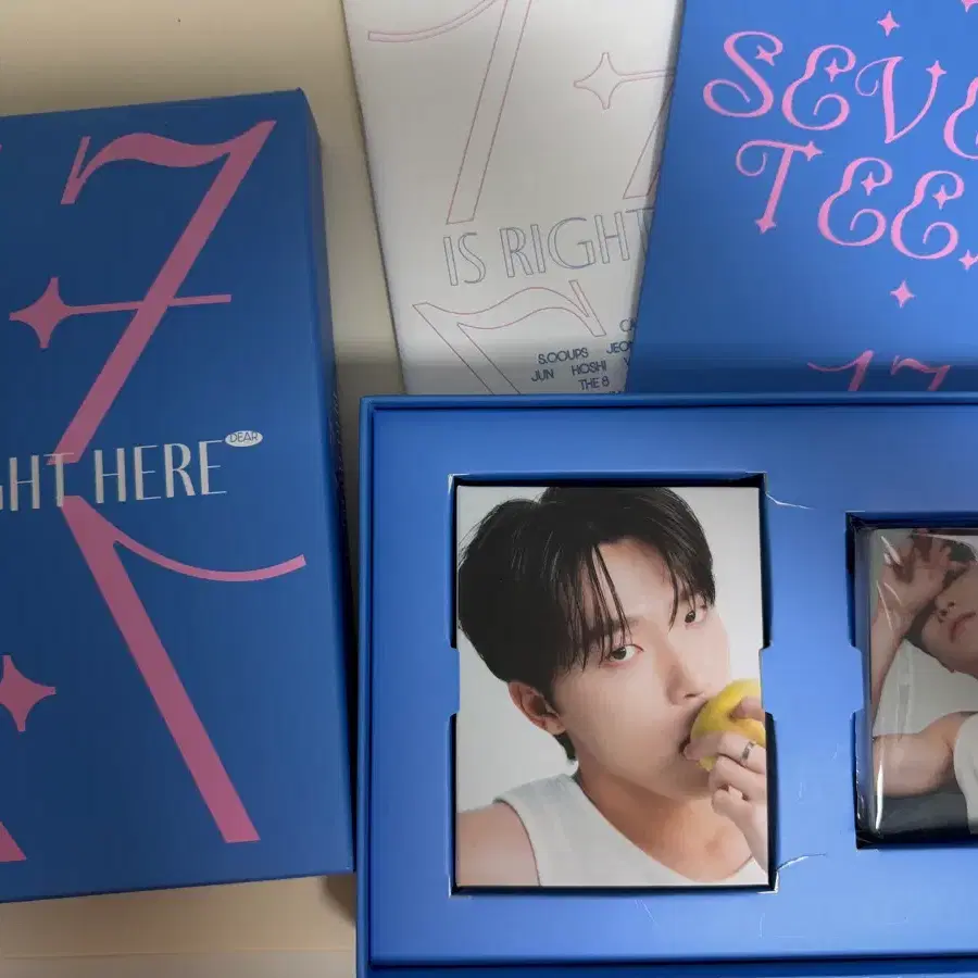 17 is right here 디노 캐럿반