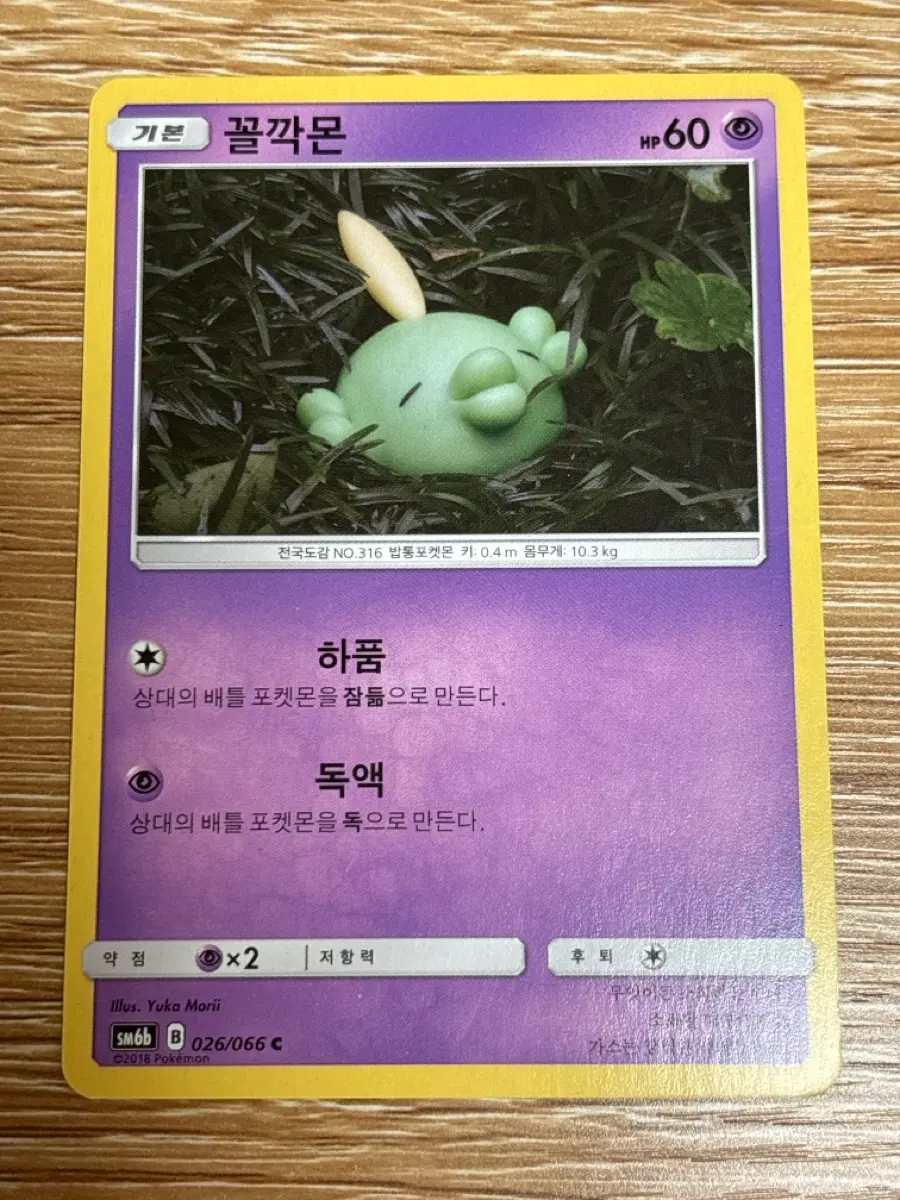 포켓몬 TCG 꼴깍몬 C 챔피언로드 (한글판)