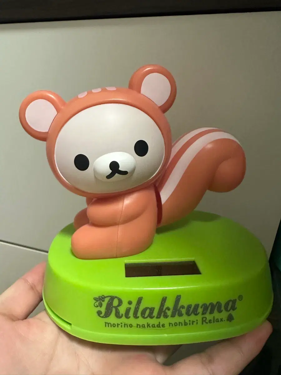 코리락쿠마 다람쥐 노호혼