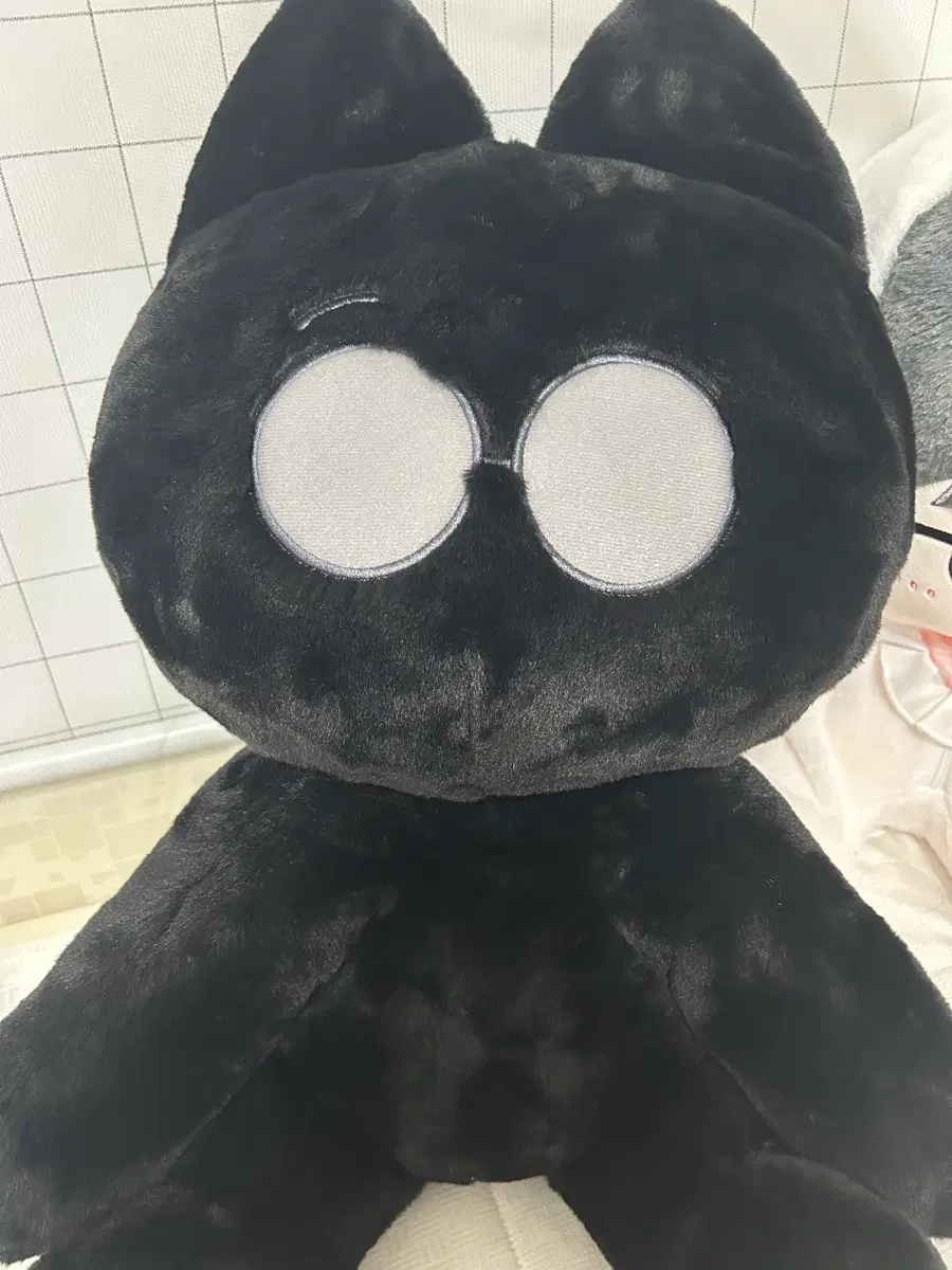 60cm 대왕 깜애옭 왕삼이