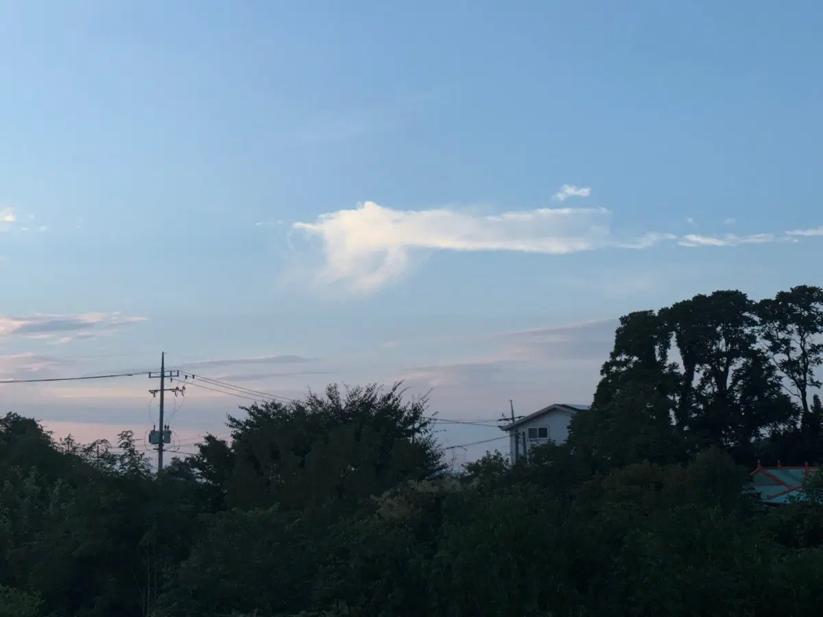 리본돌