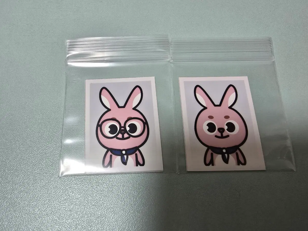 데이식스 원필 2018 팬미팅 데니멀즈 증명사진