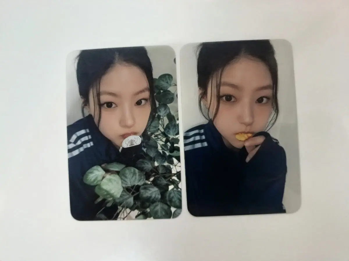 키스오브라이프 하늘 포카 일괄