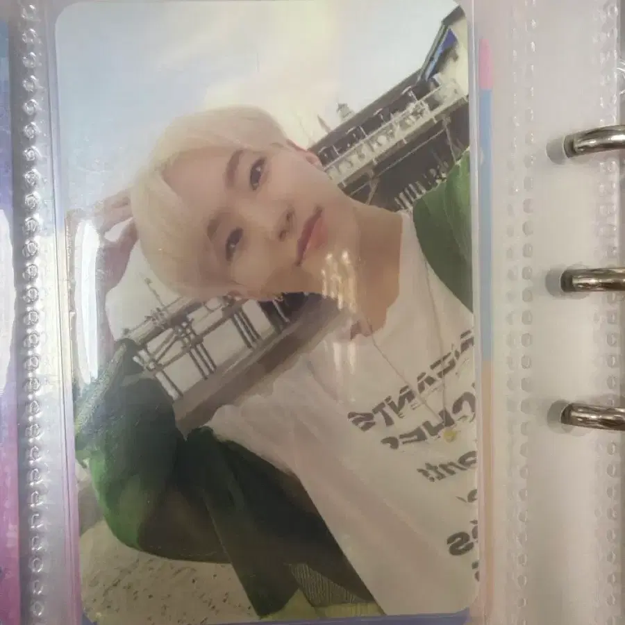 세븐틴 헹가래 호시 포카