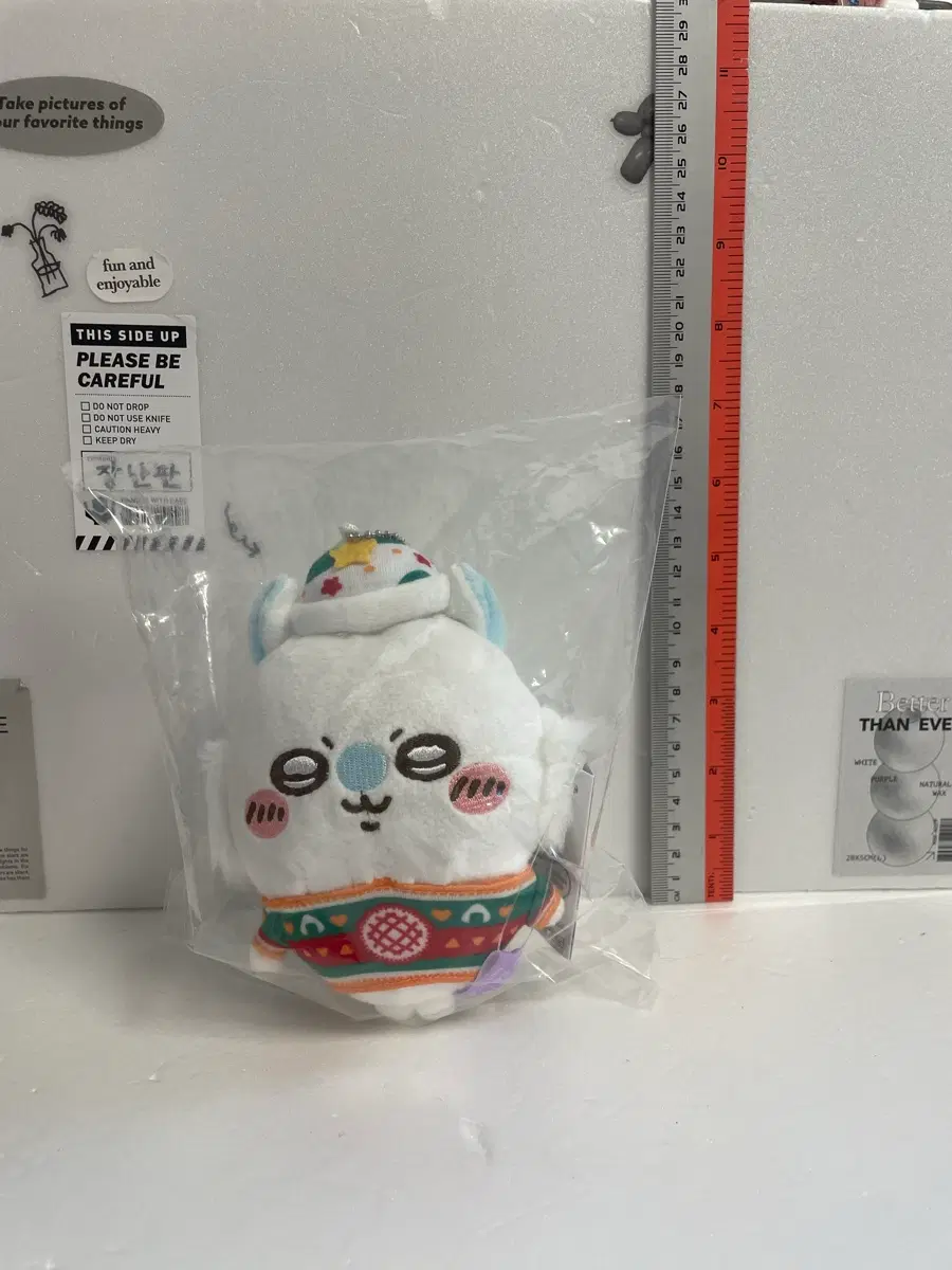 치이카와 모몽가