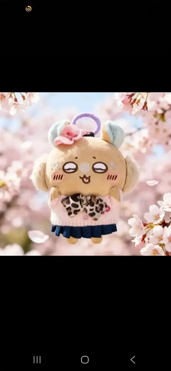구함) 갸루 모몽가