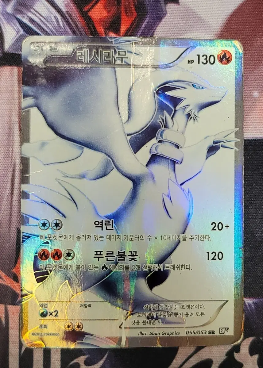 포켓몬카드 레시라무 BW SR 교환