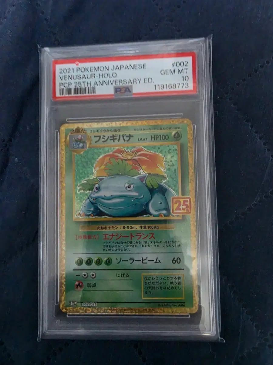 포켓몬카드 일판 이상해꽃 25주년 psa10 등급