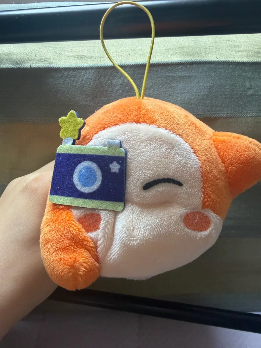 웨이들디 카메라 인형