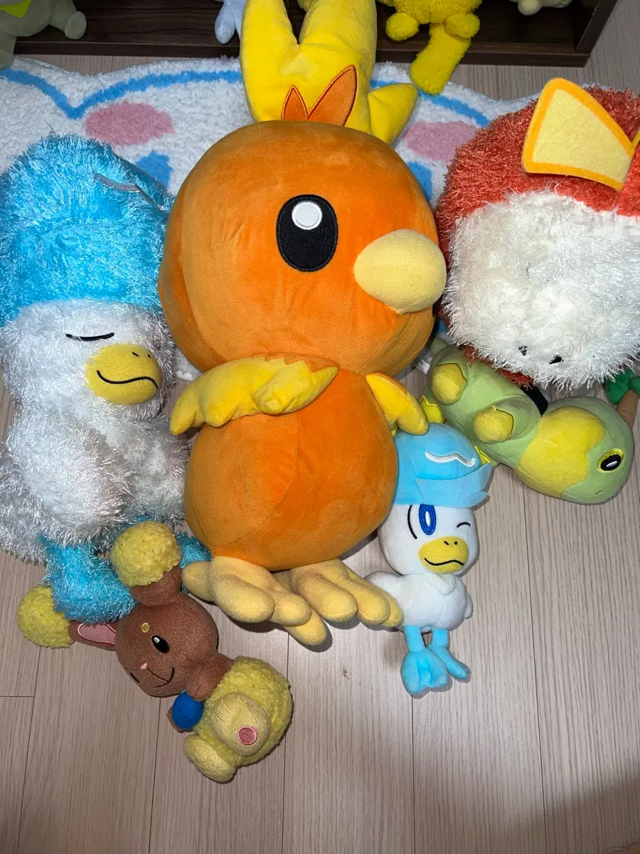 일본 반프레스토 정품 포켓몬 인형 일괄 아차모 꾸왁스 뜨아거 이어롤 모부기
