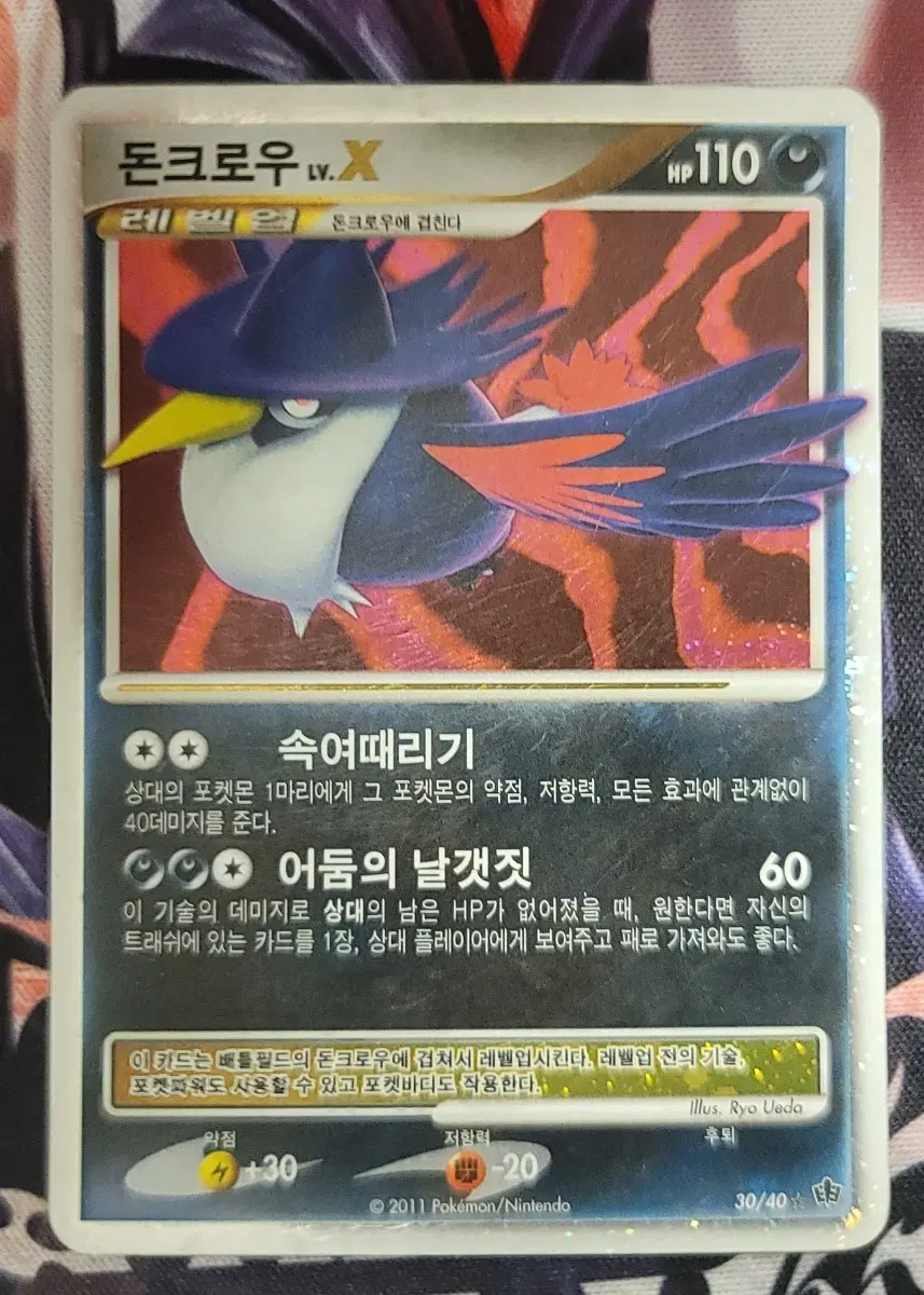 포켓몬카드 DP 돈크로우 LV.X 교환
