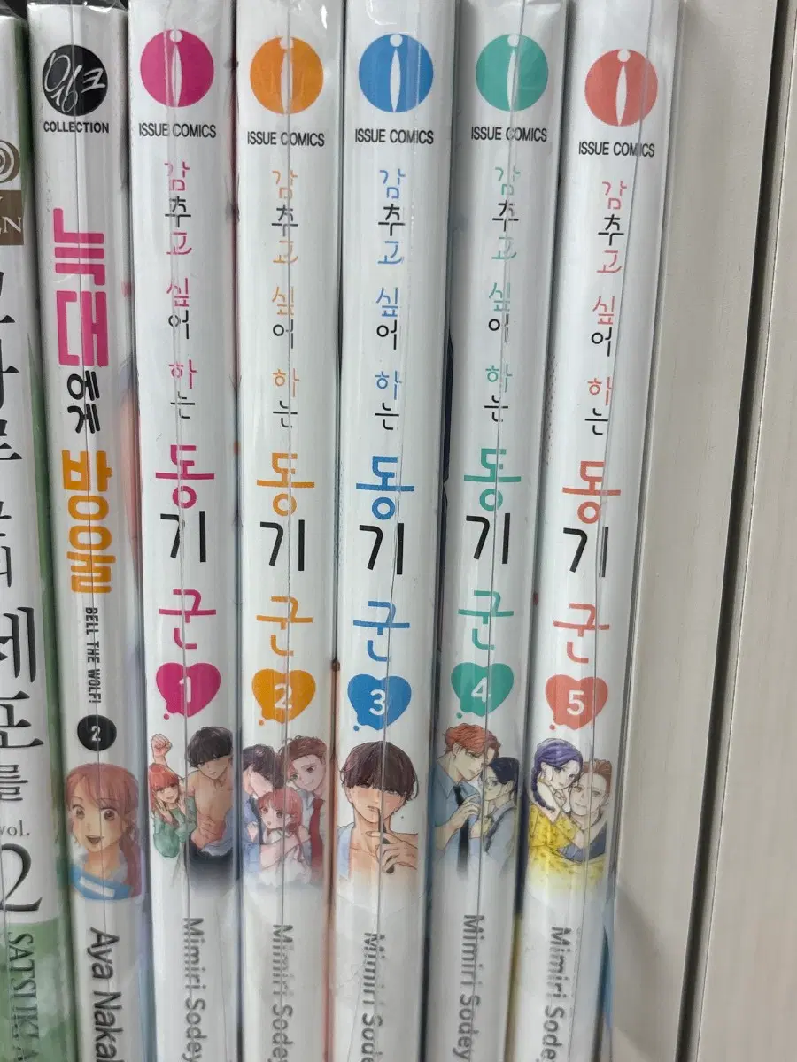 감추고싶어하는동기군 순정만화책