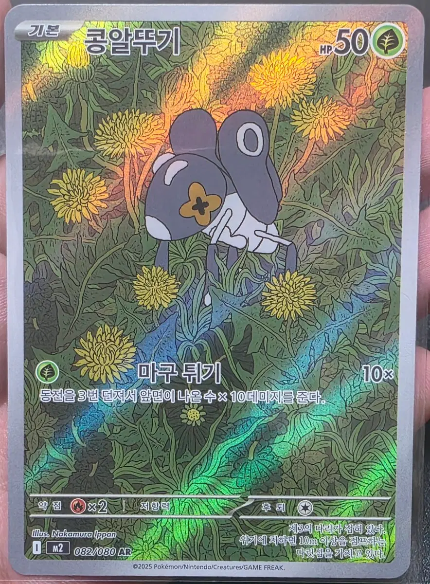 포켓몬카드 콩알뚜기 ar M2