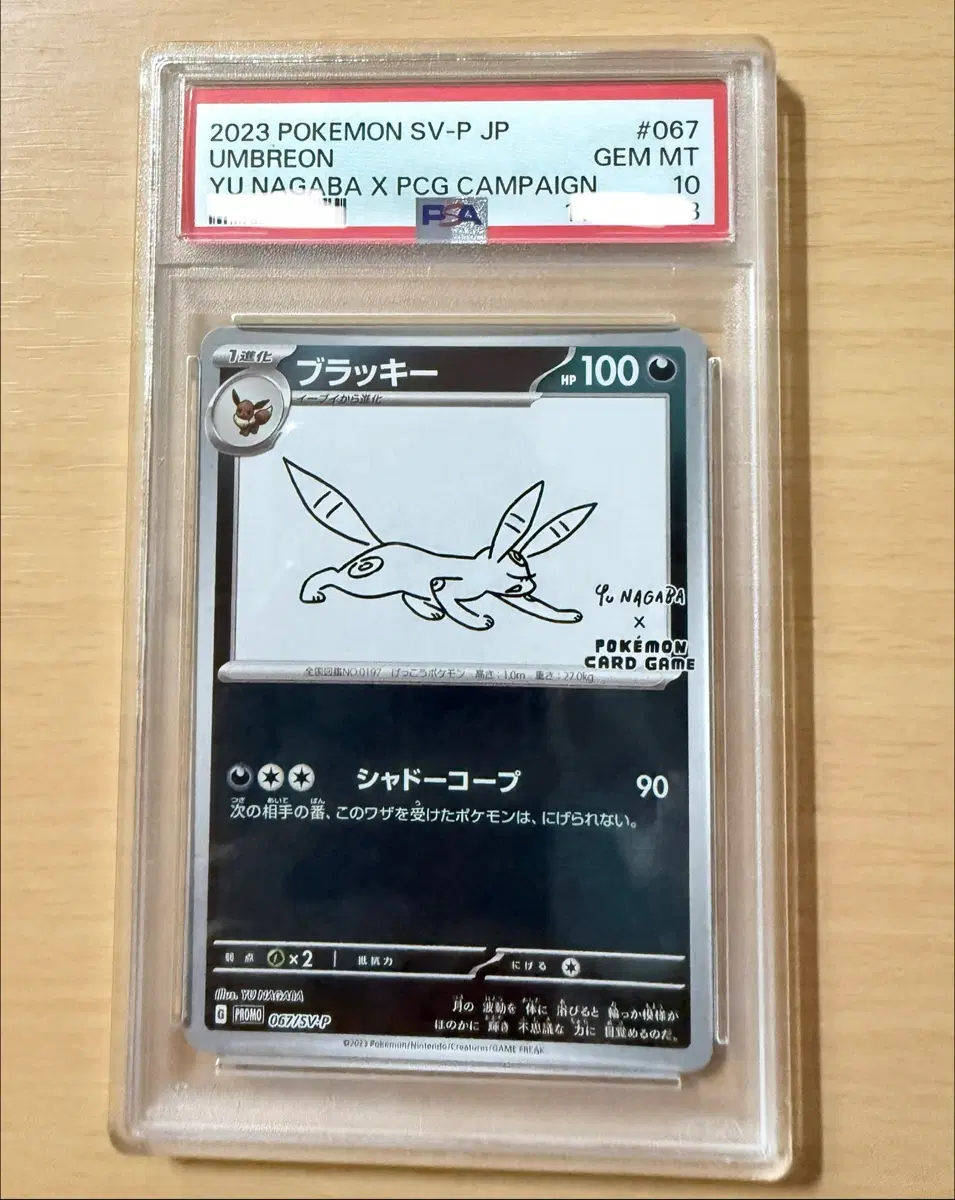 포켓몬 카드 유 나가바 x PCG 캠페인 블래키 PSA10 일판