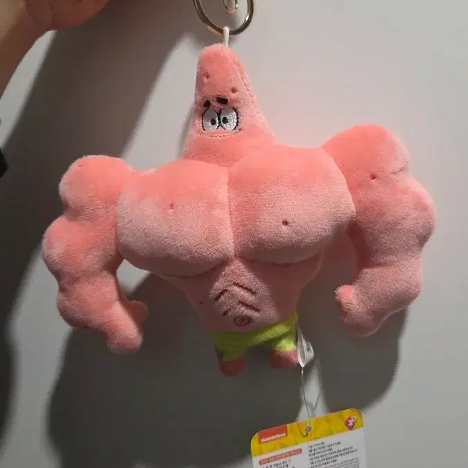 뚱이 머슬 인형 키링