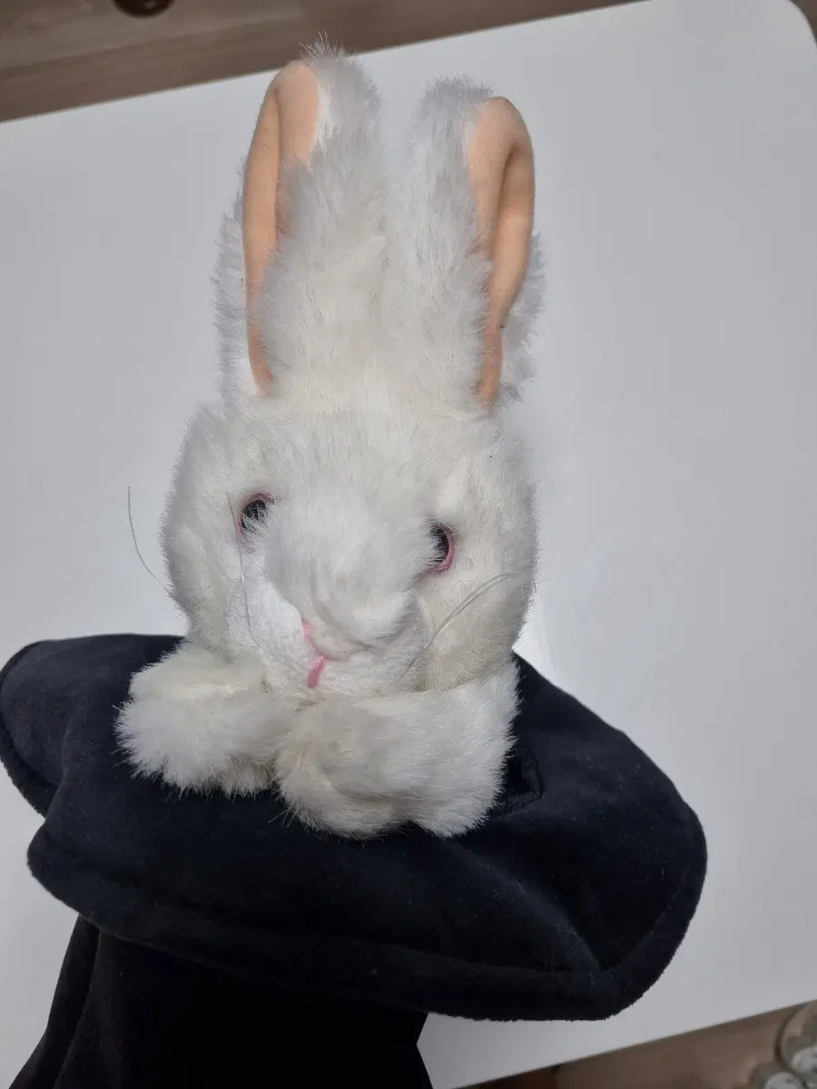 인형 토끼 마술 모자