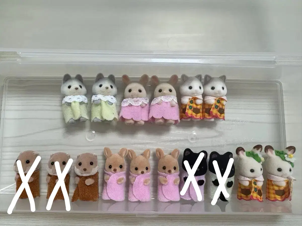 실바니안 신생아들~