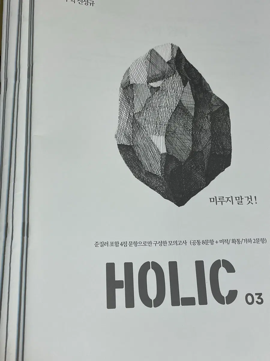 신성규 하프모 HOLIC